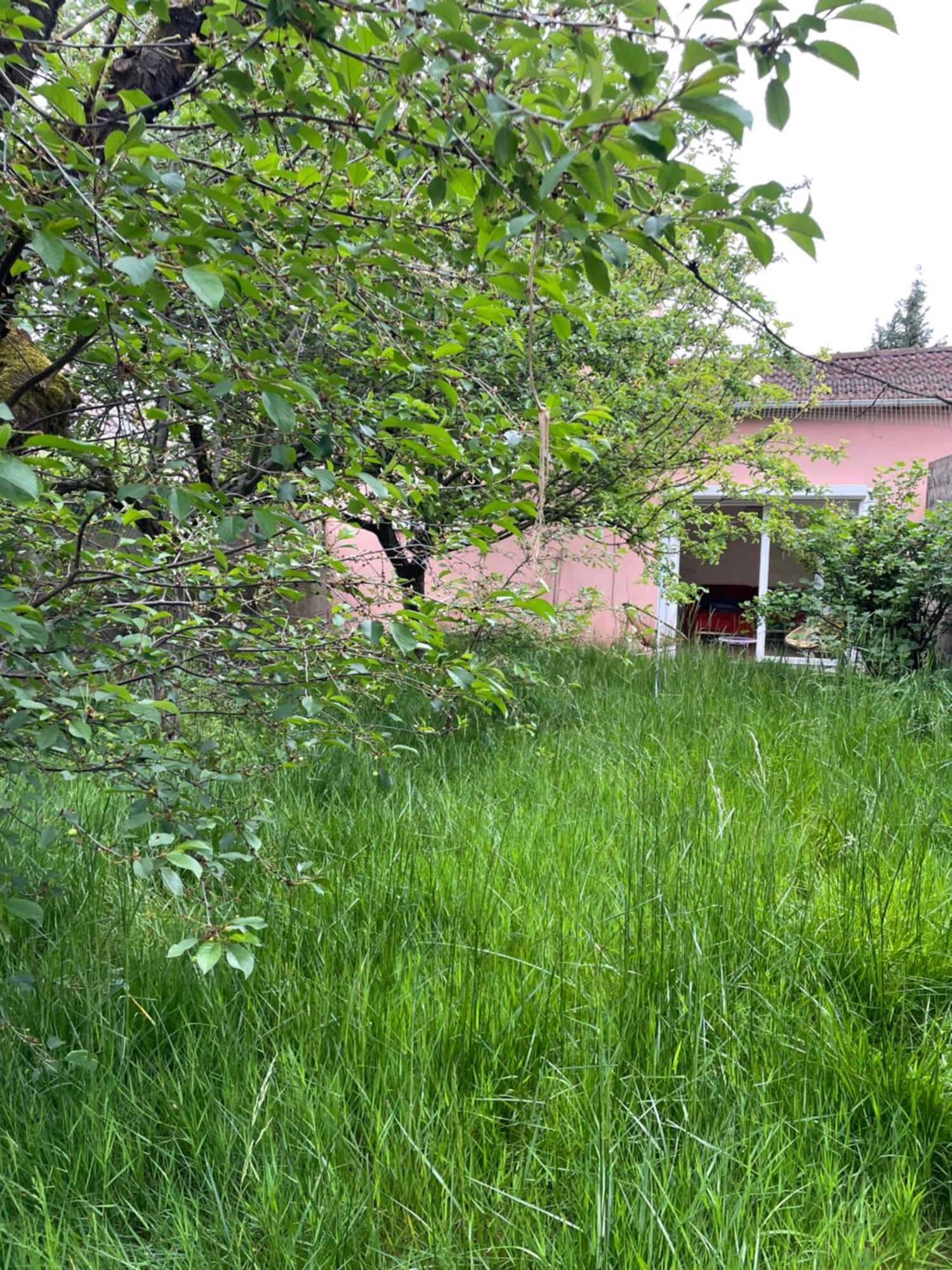 Charmante Maison Avec Jardin Aux Portes De Paris Vitry-sur-Seine Εξωτερικό φωτογραφία